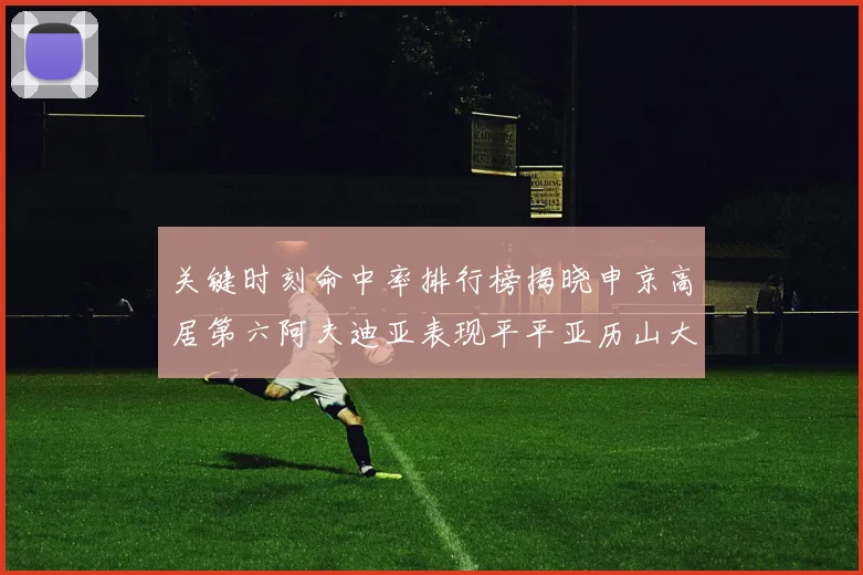关键时刻命中率排行榜揭晓申京高居第六阿夫迪亚表现平平亚历山大与康宁汉姆紧随其后