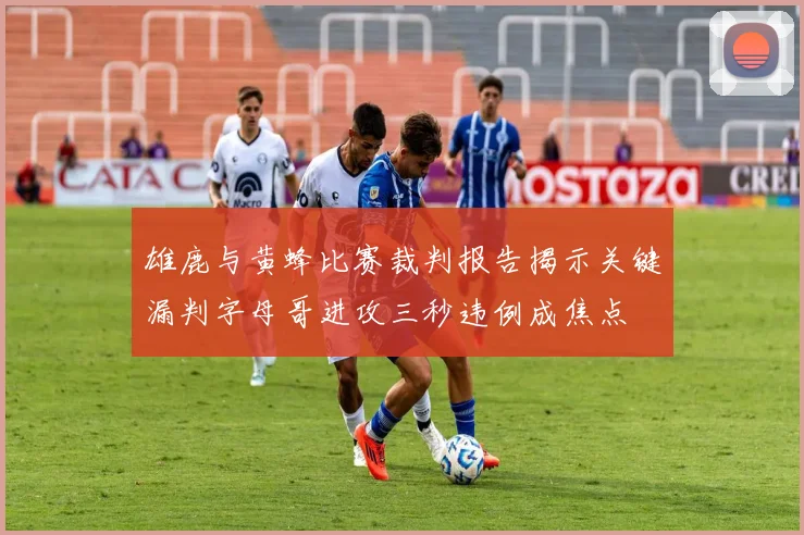 雄鹿与黄蜂比赛裁判报告揭示关键漏判字母哥进攻三秒违例成焦点