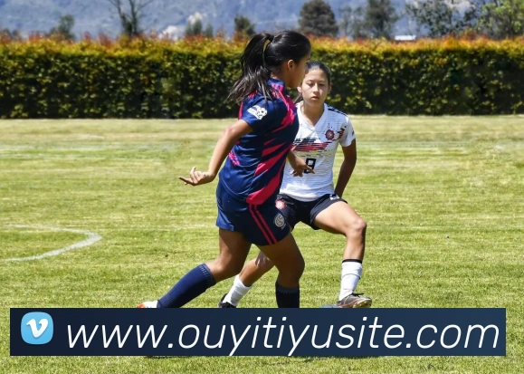 欧亿体育品牌故事